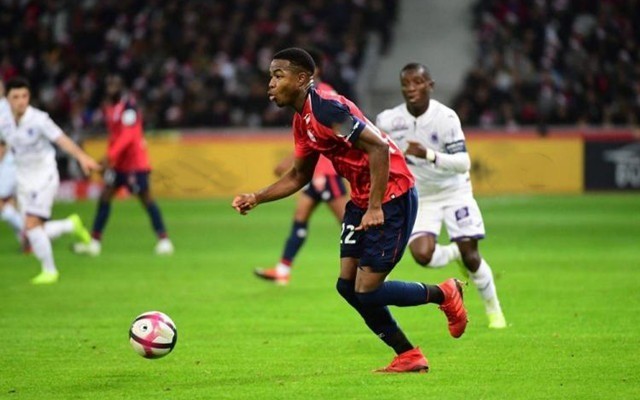 冷静的补射 冷静的补射