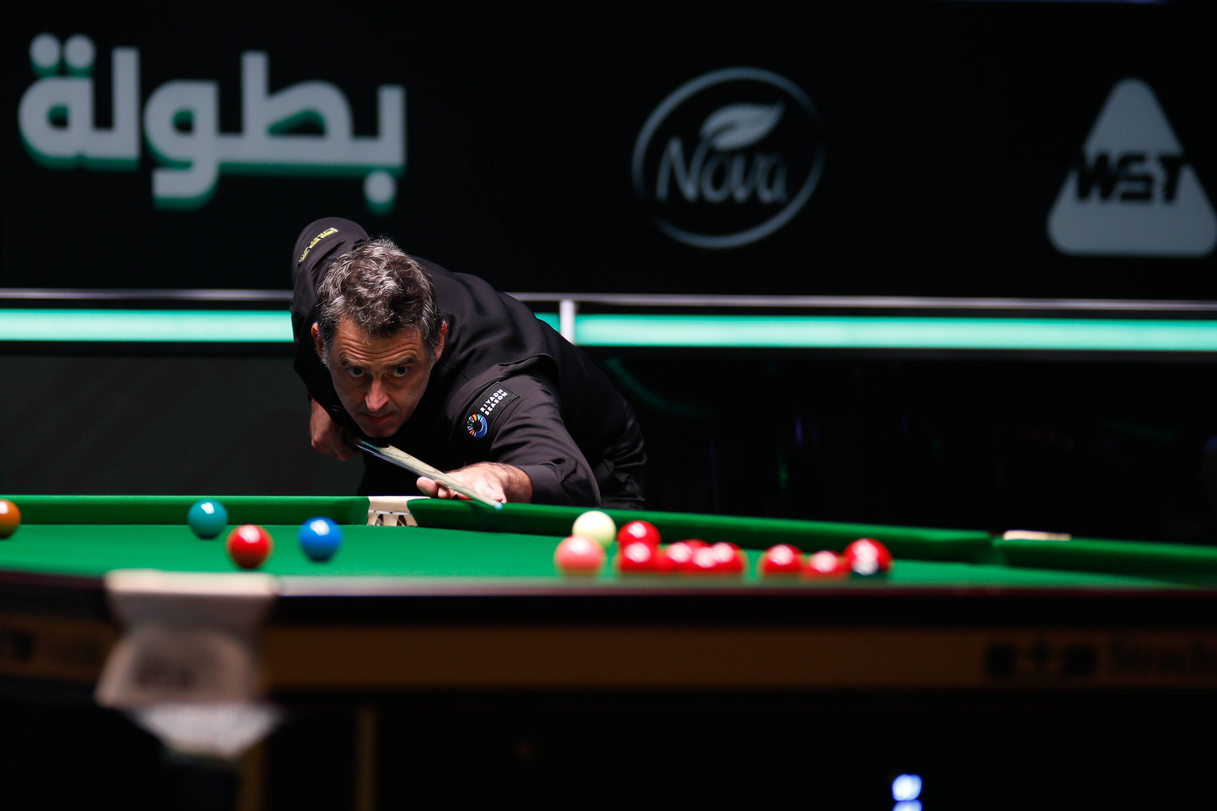 新势力的崛 新势力的崛