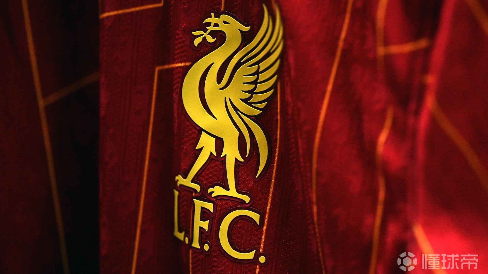 形成清晰的 形成清晰的