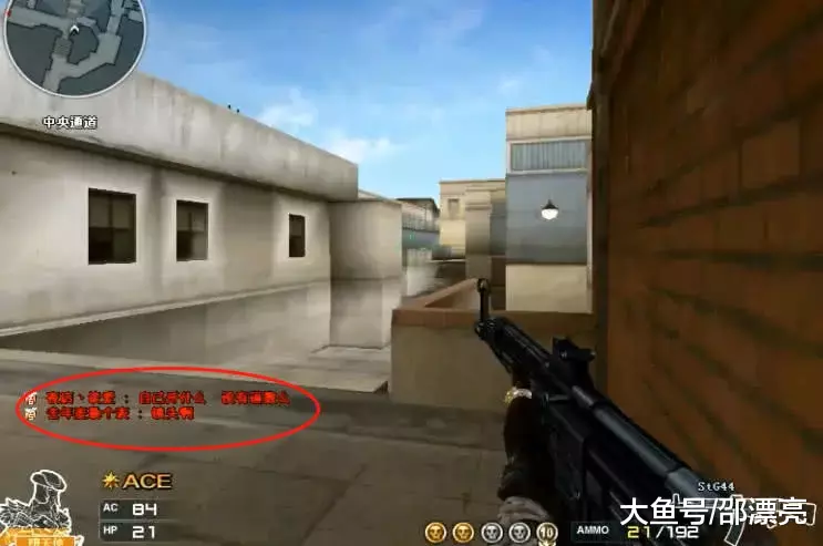 若将其放入 若将其放入